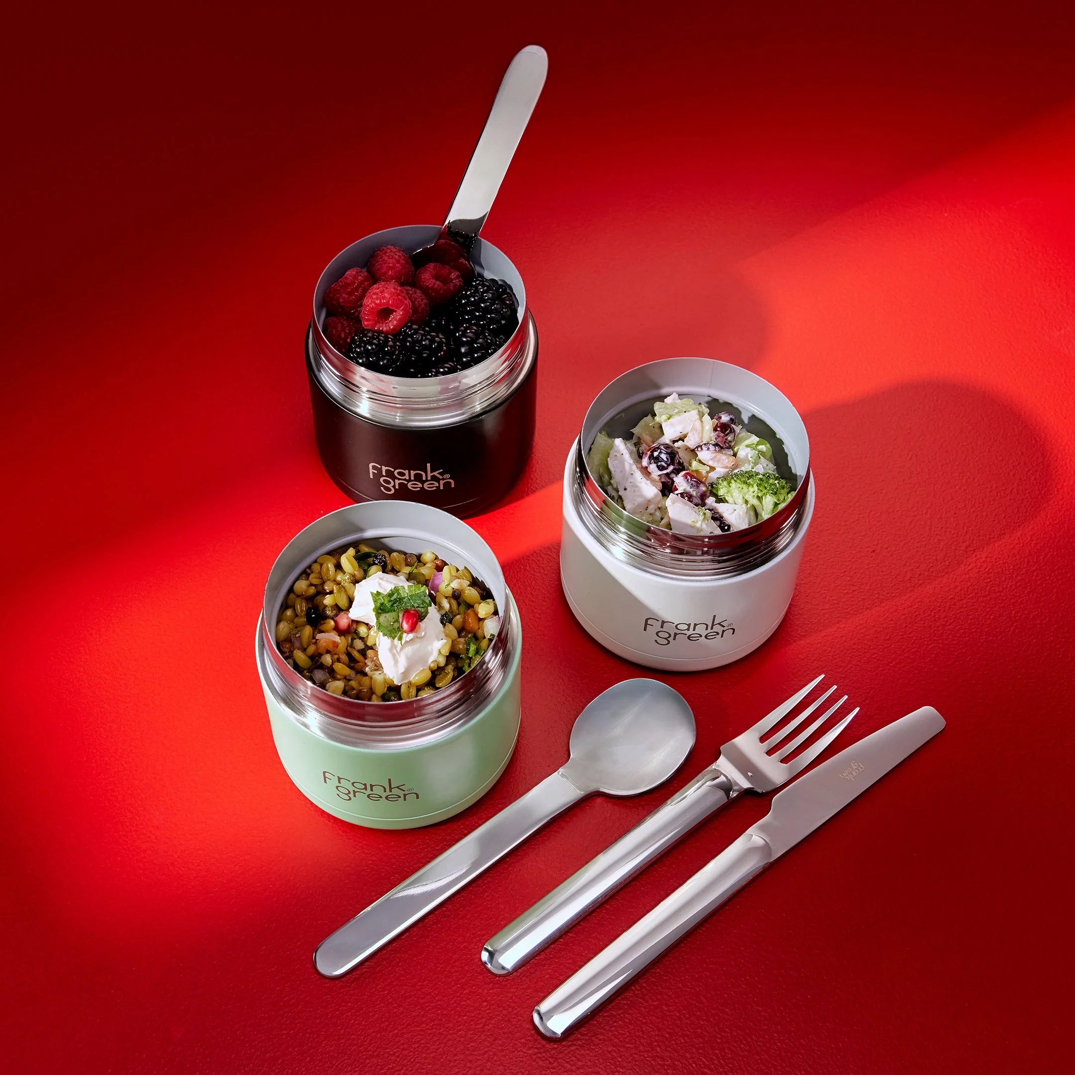 Insulated Food Container - 16oz / 475ml - Image 5